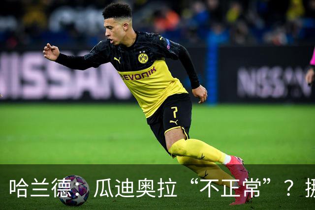 哈兰德：瓜迪奥拉“不正常”？挪威28年后重返世界杯，曼城魔法能带来奇迹吗